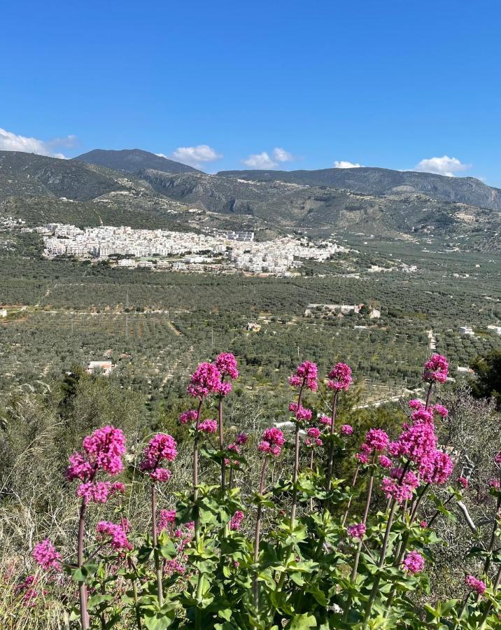 Apartamento Orchidea Mattinata Parco Del Gargano Exterior foto