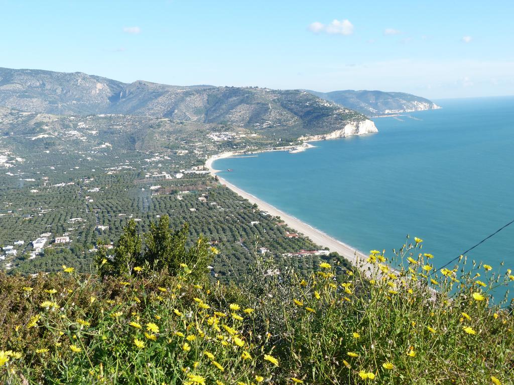 Apartamento Orchidea Mattinata Parco Del Gargano Exterior foto