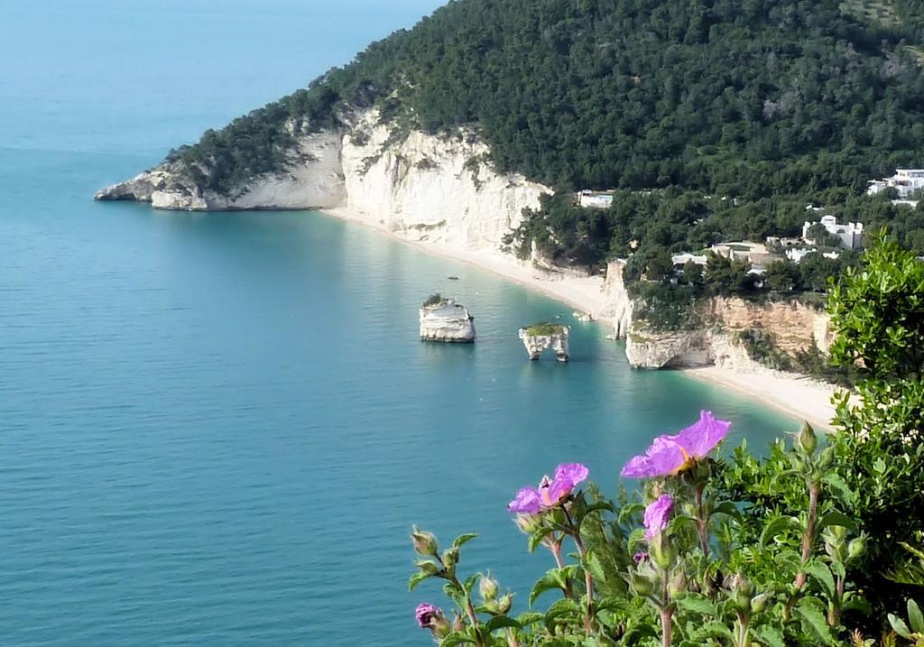 Apartamento Orchidea Mattinata Parco Del Gargano Exterior foto